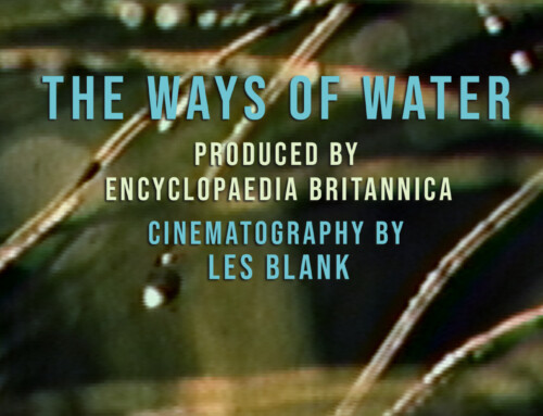 Ways Of Water – 1971